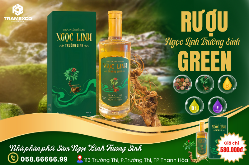 Rượu sâm Ngọc Linh Trường Sinh Green – Thức uống đẳng cấp cho mọi sự kiện